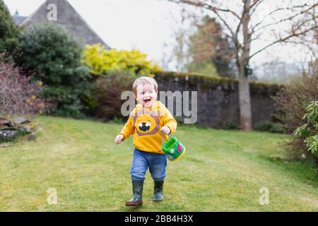 Boy, 18 months old, doing Easter egg hunt in a garden, Scotland, UK Stock Photo