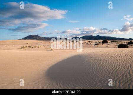 Parque Natural de Corralejo Sand Dunes Corralejo  La Oliva Fuerteventura  Canary Islands Spain Stock Photo