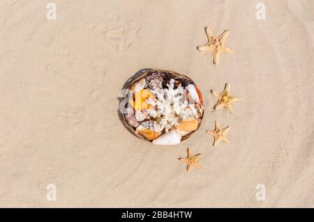 Top view of seashells, coral and starfish on golden sandy beach near the sea on a sunny day. Summer vacation and relaxation concept. Copy space for te Stock Photo