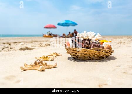 Seashells, coral and starfish on golden sandy beach near the sea on a sunny day. Blurred tourists under colorful sun umbrellas in background. Summer v Stock Photo