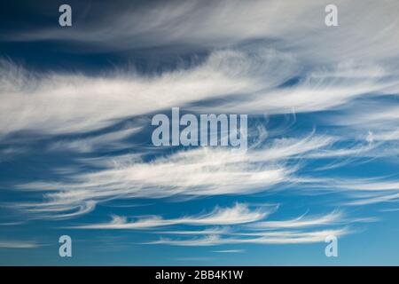 Cirrus clouds with deep blue sky background Stock Photo