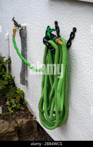 Green hose pipe connected to a tap and hanging on a white wall in a garden. Stock Photo