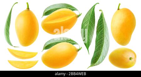 Isolated mango collection. Thai yellow mango fruits of different shapes, pieces and leaves isolated on white background Stock Photo