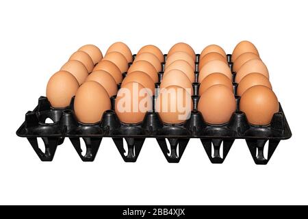 Eggs in package black plastic, Isolated on white background. with clipping path. Stock Photo
