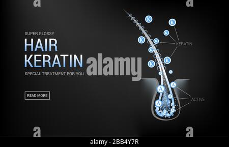 Hair follicles in skin, vitamins, keratin, growth cycle Stock Vector