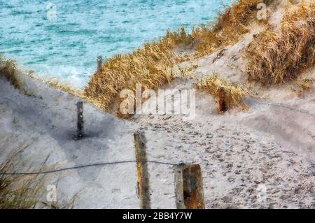 oil painting of path down to baltic sea beach at Ahenshoop at darss peninsula. Stock Photo