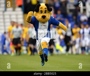 Coat of arms Birmingham City F.C., Birmingham, a football club from England Stock Photo