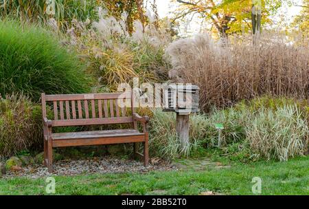 Early autumn park landscape. Old wooden bench and wooden mailbox against high green and yellow dry grass background. Stock Photo
