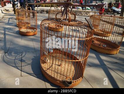 Bamboo cages at bird street market in China. Stock Photo