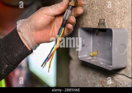 Male electrician holding main power cable ready to be feeded into plug socket on wall Stock Photo