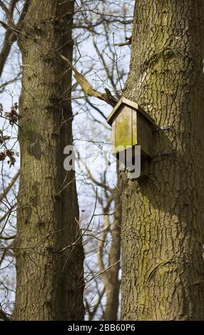 A birdhouse high up on a tree Stock Photo