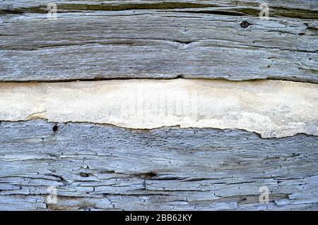 Horizontal close-up shot of old wood siding with chinking. Stock Photo