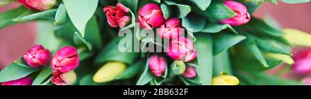 Bouquet of tulips in an iron bucket. Natural flowers. Stock Photo