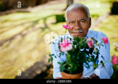 Senior man tending to his pot plants in the garden. Stock Photo