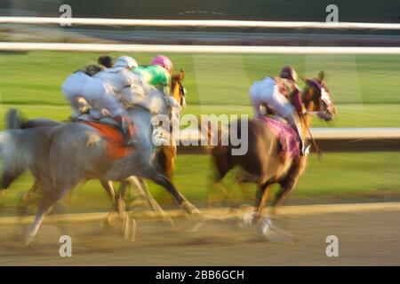 Arabian Horse Racing, stylized motion blur action shot Stock Photo