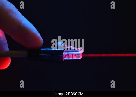 Lan Cable Is Connecting Internet and Red Laser Stock Photo