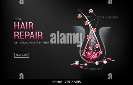 Hair follicles in skin, vitamins, keratin, growth cycle Stock Vector