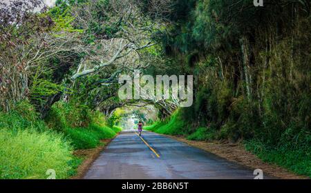 Woman jogging down the middle of a road, Maui, Hawaii, USA Stock Photo