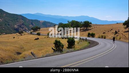 Rear view of a man running down the middle of a road, Oregon, USA Stock Photo