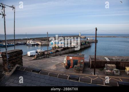 Seahouses working fishing port in Northumberland, North East England and a gateway for trips to the Farne Islands seabird  and seal colony. Stock Photo