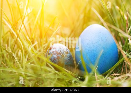 Easter eggs in trend color on the spring grass. The concept of stylish natural decoration for Easter, minimalistic, zero waste, spring, greeting cards, etc. Stock Photo