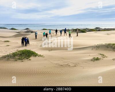 Sea Kayak Adventures Whale Watching Tour in Bahia Magdalena, Baja California Sur, Mexico. Stock Photo