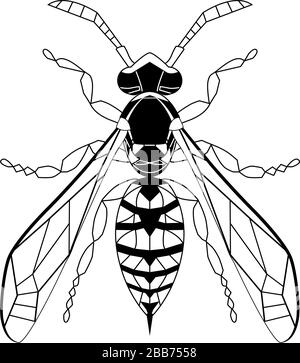 Wasp line drawing cartoon for adult antistress coloring page. Bee isolated on white background. Bumblebee Hand drawn doodle, graphic vector illustration. Zentangle style. Insect sketch Stained glass. Stock Vector