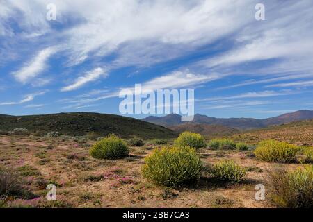 Landscapes in the vicinity of Kharkams near Kammieskroon in Namaqualand, Northern Cape, South Africa Stock Photo