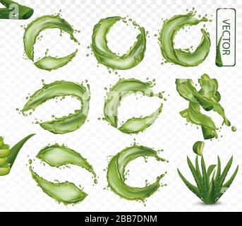 3D realistic fresh aloe vera on with splash liquid on transparent background. Herbal medicine for skin care and hair. Juice aloe. Cactus or aloe vera closeup. EPS 10. Stock Vector