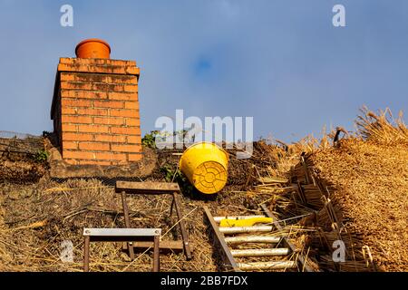 Thatching,thatch,Devon Longhouse, Stock Photo