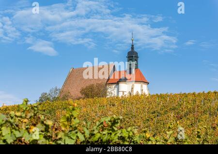 Landscape in Lower Franconia, colorful vineyards with colorful leaves in autumn colors, pilgrimage church Maria in the vineyard, autumn mood and blue Stock Photo