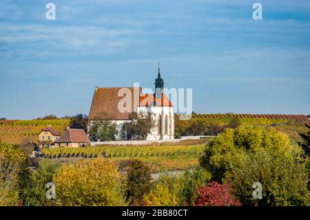 Landscape in Lower Franconia, colorful vineyards with colorful leaves in autumn colors, pilgrimage church Maria in the vineyard, autumn mood and blue Stock Photo