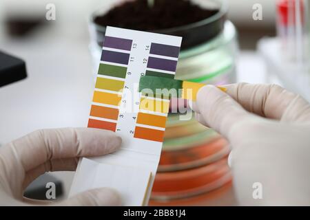 Close-up gloved hands holding litmus indicator Stock Photo