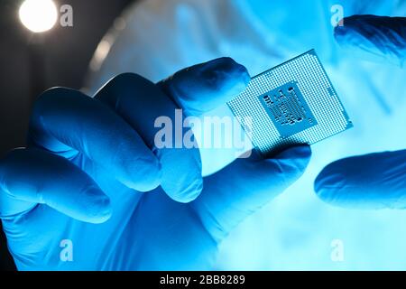 Close-up gloved hands holding detail microchip Stock Photo