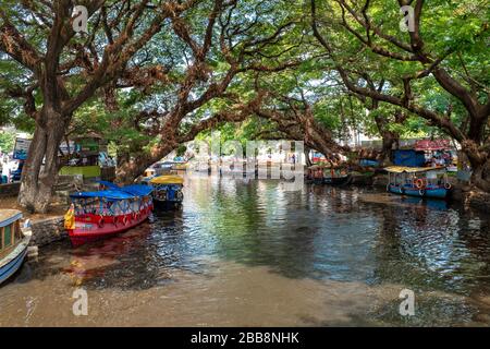 Alleppey, Kerala, India - March 31, 2018: Alleppey boat jetty with very large trees Stock Photo