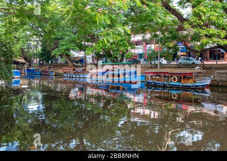 Alleppey, Kerala, India - March 31, 2018: Alleppey boat jetty with very large trees Stock Photo