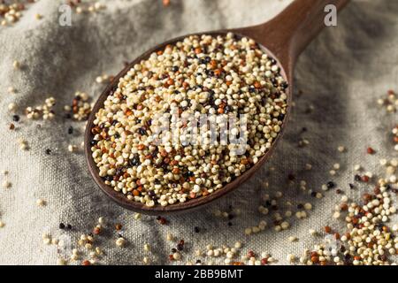 Raw Tricolor Organic Quinoa Kernals in a Bowl Stock Photo