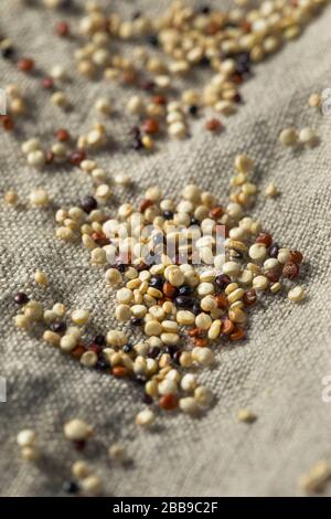Raw Tricolor Organic Quinoa Kernals in a Bowl Stock Photo