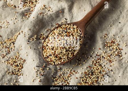 Raw Tricolor Organic Quinoa Kernals in a Bowl Stock Photo