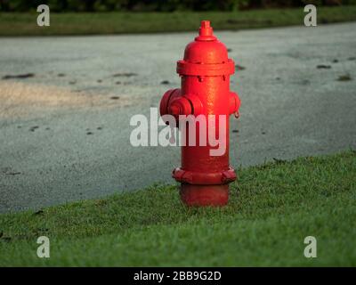 A red fire hydrant on cut grass next to a paved street. Stock Photo