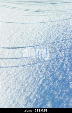 Parallel shadows on the fresh snow background Stock Photo