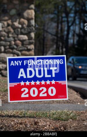 Yard sign, U.S. Presidential Election 2020, Lexington, MA, USA.  26 Mar. 2020.  Yard sign on Massachusetts Avenue in Politically Liberal Lexington, population 30,000 plus, 12.5 miles (20.6km)  northwest of Boston, Massachusetts.  Registered Democrats outnumber Republicans 5 to 1 and the town has not voted Republican since the Reagan election in 1980. Stock Photo