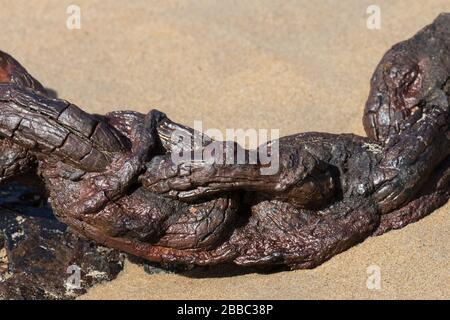 Old rusty chain in sand on beach Stock Photo