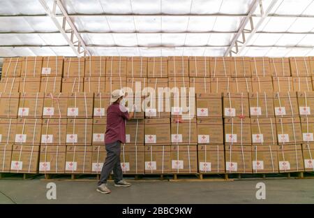 Beijing, Laos. 30th Mar, 2020. Staff member of the Ministry of Health of Laos transfer supplies donated by China in Vientiane, Laos, March 30, 2020. Credit: Kai Qiao/Xinhua/Alamy Live News Stock Photo