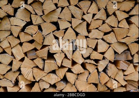 Firewood, Haida Gwaii, Formerly known as Queen Charlotte Islands, British Columbia, Canada Stock Photo