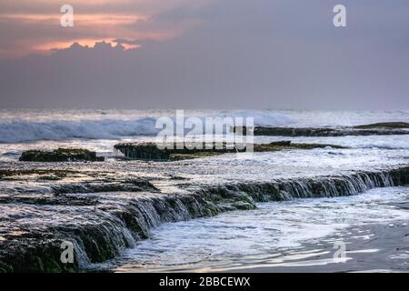 Coconut reef, Midigama, Sri Lanka Stock Photo