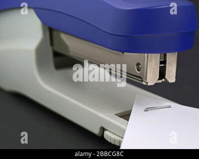 close up of blue stapler with stapled paper Stock Photo