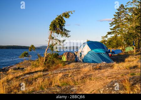 Ruckle Provincial Park, Salt Spring Island, BC, Canada Stock Photo