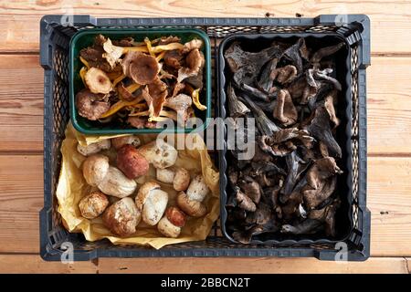 Mushrooms over head selection punnets tray bulk whole variety selection chanterelle king black trumpet cep Stock Photo