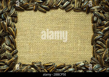 Sun flower seeds on small sack. Top view and copy space in square shape. Concept of agriculture and organic farm. Stock Photo